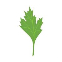 Parsley spice icon flat vector. Herb leaf vector