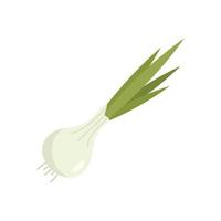 Chinese chive icon flat vector. Onion garlic vector
