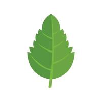 Aromatic basil leaf icon flat vector. Herb spice vector