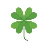 Clover plant icon flat vector. Four leaf plant vector