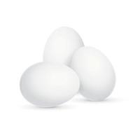 conjunto de huevos blancos 3d detallados y realistas. vector