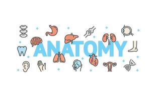 Anatomy Concept with Thin Line Icons. Vector