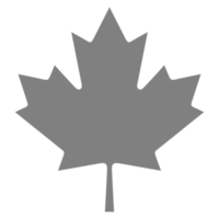 Maple Leaf Icon Symbol for Pictogram, Website, Apps, Art Illustration, or Graphic Design Element. Format PNG