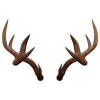 illustration of a massive set of deer horns rendered in 3D. png