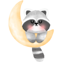 Cute Raccoon illustration png