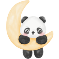 lindo panda acuarela ilustración png