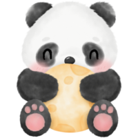 schattige panda aquarel illustratie png
