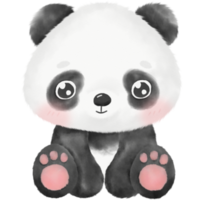 lindo panda acuarela ilustración png