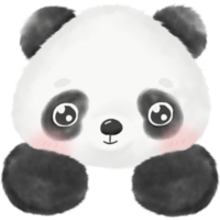 illustration aquarelle de panda mignon png