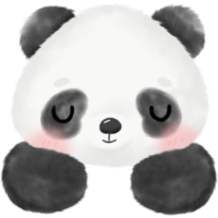 illustrazione dell'acquerello del panda carino png