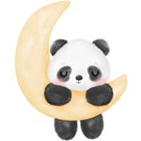 ilustração em aquarela de panda fofo png