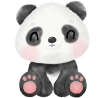 illustration aquarelle de panda mignon png