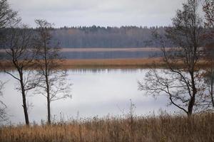 Scenic autumn lake view on water with visible feshing men on boats through leafless trees above yellow reeds photo