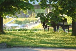 City public park bench behind green tree branches near river with visible city bridge on bright sunny summer day photo