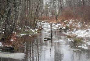 Small stream of water running in forest between birch trees and thawing ice banks on a warm winter day photo
