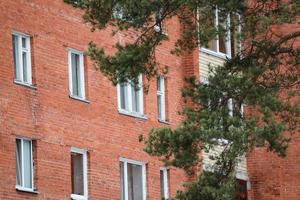 Red brick residential building with white plastic windows and balconies with big pine branch crossing the view photo