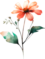 schöner aquarell gemalter blumenausschnitt png