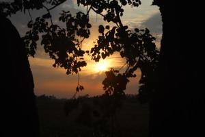 la belleza de la naturaleza en bangladesh foto