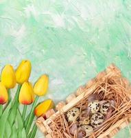 Yellow tulips bouquet and nest with quail eggs on green mint background. Postcard for Easter or spring postcard. Copy space photo