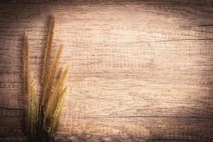 Grass flowers on brown background for frame photo