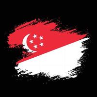 Hand paint Singapore grunge flag vector