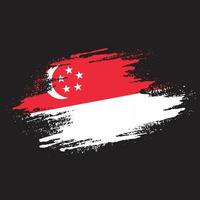 splash grunge textura singapur resumen bandera vector