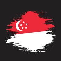 Graphic Singapore grunge texture flag vector