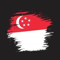 Professional Singapore texture flag vector