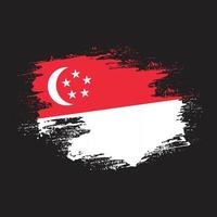 splash nuevo singapur grunge textura bandera vector