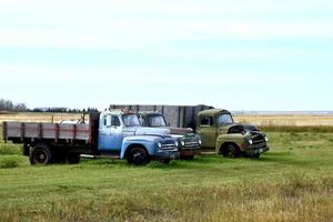 old farm trucks in a field photo