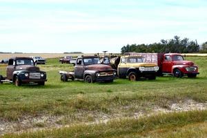 old farm trucks in a field photo