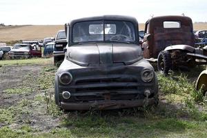 old trucks in a field photo
