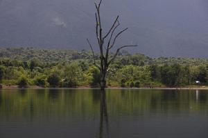 stunning views of the mountains in the tropical rain forest photo