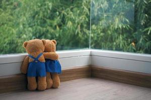 la amistad y la relación de dos osos de peluche se abrazan, mirando la vista del bambú en la ventana. foto