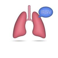 Icono de pulmón realista 3D aislado de fondo blanco. foto