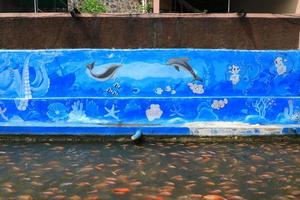 Beautiful koi fish in pond in the garden photo