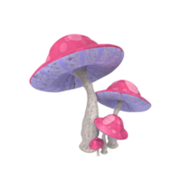 champignon isolé sur transparent png