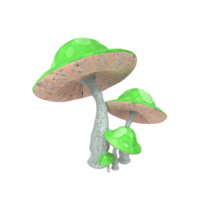 champignon isolé sur transparent png