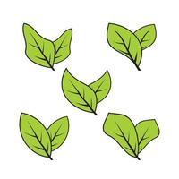 set of green abstract leaf icons, on white background. Vector illustration.