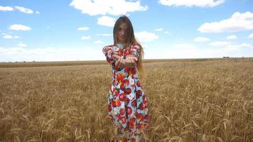 Schöne junge Dame in einem Kleid, die auf einem Feld steht und das Weizenährchen in Palmen betrachtet video