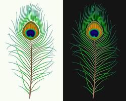 Peacock Feather Background Vector Art, Icons, and Graphics for Free Download