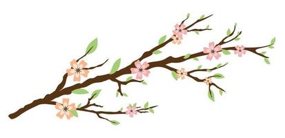 Spring tree blossoming branch. Pastel spring flowers. Isolated on white background. Design for cards, invitations, posters. vector