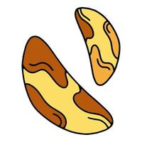 Brazil nut in a shell simple linear cartoon icon in doodle style vector