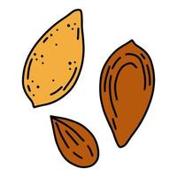 nuez de almendra en un icono de caricatura lineal simple de cáscara en estilo de fideos vector