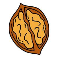 Walnut simple linear cartoon icon in doodle style, vector illustration