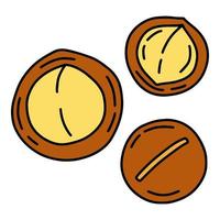 icono de dibujos animados lineal simple de nuez de macadamia en estilo de fideos, ilustración vectorial vector