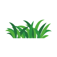 natural green grass bushes decorate environmental ecology cartoon scene png