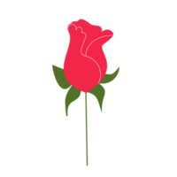 rosa roja para elemento de diseño png