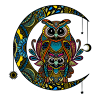 colorful owl , art illustration Ethnic patterned  illustration. png