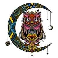 colorful owl , art illustration Ethnic patterned  illustration. png